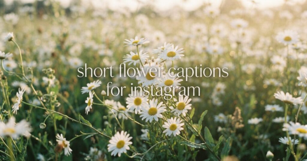 short-flower-captions-for-instagram